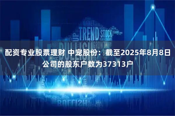 配资专业股票理财 中宠股份：截至2025年8月8日公司的股东户数为37313户