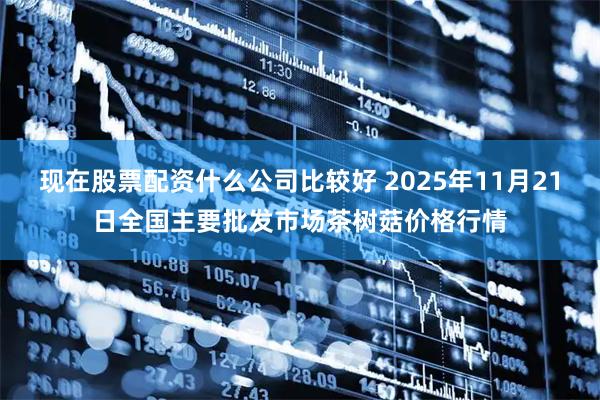 现在股票配资什么公司比较好 2025年11月21日全国主要批发市场茶树菇价格行情