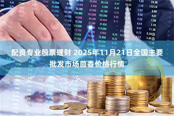 配资专业股票理财 2025年11月21日全国主要批发市场茴香价格行情